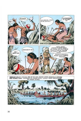 Bjeli zub   tex willer - kolor