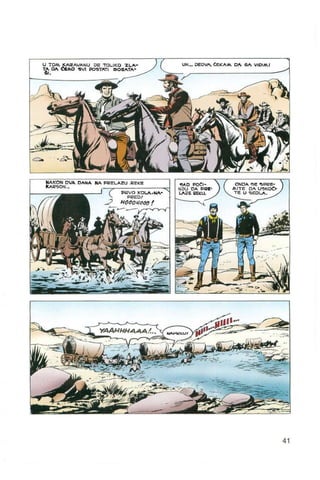 Bjeli zub   tex willer - kolor