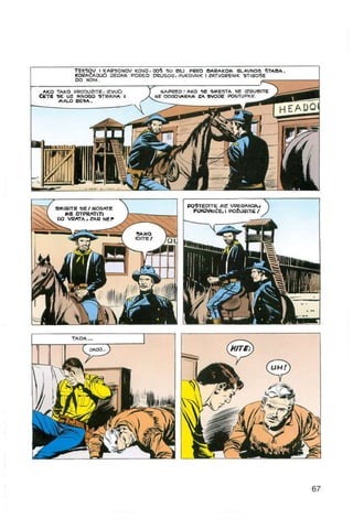 Bjeli zub   tex willer - kolor