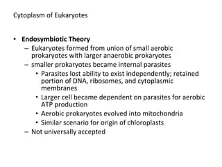 Cytoplasm of Eukaryotes 
• Endosymbiotic Theory 
– Eukaryotes formed from union of small aerobic 
prokaryotes with larger anaerobic prokaryotes 
– smaller prokaryotes became internal parasites 
• Parasites lost ability to exist independently; retained 
portion of DNA, ribosomes, and cytoplasmic 
membranes 
• Larger cell became dependent on parasites for aerobic 
ATP production 
• Aerobic prokaryotes evolved into mitochondria 
• Similar scenario for origin of chloroplasts 
– Not universally accepted 
 