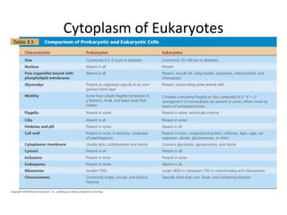 Cytoplasm of Eukaryotes 
[INSERT TABLE 3.5] 
 