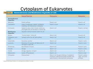 Cytoplasm of Eukaryotes 
[INSERT TABLE 3.4] 
 