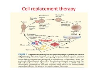 Cell replacement therapy 
 