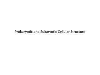Prokaryotic and Eukaryotic Cellular Structure 
 
