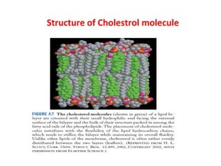 Structure of Cholestrol molecule 
 