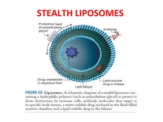 STEALTH LIPOSOMES 
 