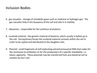 Inclusion Bodies 
6. gas vacuoles - storage of metabolic gases such as methane or hydrogen gas. The 
gas vacuoles help in the buoyancy of the cell and aids in it motility. 
7. ribosomes - responsible for the synthesis of proteins. 
8. nucleoid material - the genetic material of bacteria, which usually is balled up in 
the cell. During binary fission the nucleoid material unravels within the cell in 
order to be copied and distributed to the daughter cells. 
9. Plasmid - small fragments of self-replicating extrachromosomal DNA that codes for 
the resistance to antibiotics or for the productions of a specific metabolite, i.e. 
toxins, pigments. These plasmids may be transferred from one bacterial cell to 
another by the F-pili. 
 
