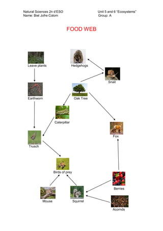 Unit 5 and 6 “Ecosystems”
Group: A

Natural Sciences 2n d’ESO
Name: Biel Jofre Colom

FOOD WEB

Leave plants

Hedgehogs

Snail

Earthworn

Oak Tree

Caterpillar

Fox
Trusch

Birds of prey

Berries

Mouse

Squirrel
Acornds

 