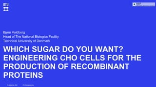 DTU Bioengineering
15 September 2022
WHICH SUGAR DO YOU WANT?
ENGINEERING CHO CELLS FOR THE
PRODUCTION OF RECOMBINANT
PROTEINS
Bjørn Voldborg
Head of The National Biologics Facility
Technical University of Denmark
 