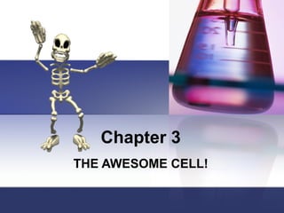 Chapter 3
THE AWESOME CELL!
 