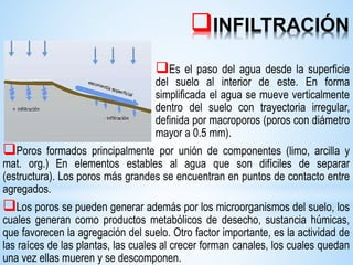 INFILTRACIÓN
Es el paso del agua desde la superficie
del suelo al interior de este. En forma
simplificada el agua se mueve verticalmente
dentro del suelo con trayectoria irregular,
definida por macroporos (poros con diámetro
mayor a 0.5 mm).
Poros formados principalmente por unión de componentes (limo, arcilla y
mat. org.) En elementos estables al agua que son difíciles de separar
(estructura). Los poros más grandes se encuentran en puntos de contacto entre
agregados.
Los poros se pueden generar además por los microorganismos del suelo, los
cuales generan como productos metabólicos de desecho, sustancia húmicas,
que favorecen la agregación del suelo. Otro factor importante, es la actividad de
las raíces de las plantas, las cuales al crecer forman canales, los cuales quedan
una vez ellas mueren y se descomponen.
 