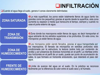 INFILTRACIÓN
La más superficial, los poros están totalmente llenos de agua (tanto los
grandes como los pequeños) gracias al aporte desde la superficie, esta zona
aumenta su espesor a media que transcurre el tiempo, siempre y cuando no
cese el porte externo de agua.
ZONA SATURADA
Zona donde los macroporos están llenos de agua, es decir transportan el
agua sobrante de los estratos superiores a los profundos. En esta zona, los
microporos ya están llenos de agua.
ZONA DE
TRANSMISIÓN
Los microporos están siendo llenados, gracias al agua transportada por
los macroporos. El llenado de microporos en estratos profundos está
condicionada por la estructura, la textura (sobre todo por contenido de
arcilla) y por presencia de diversos horizontes en el perfil. La interfase entre
dos horizontes en el perfil de un suelo, puede ser punto de acumulación de
sales, lo que formara un horizonte endurecido, que retardará el paso del
agua.
ZONA DE
HUMEDECIMIENTO
Límite de avance del agua en el suelo. En la práctica se reconoce
fácilmente por la diferencia de color entre el suelo seco y el húmedo.
FRENTE DE
HUMEDECIMIENTO
Cuando el agua llega al suelo, genera 4 zonas claramente delimitadas:
 