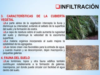 INFILTRACIÓN
3. CARACTERÍSTICAS DE LA CUBIERTA
VEGETAL
La parte aérea de la vegetación intercepta la lluvia y
disminuye su intensidad, evitando el sellado de la superficie
del suelo y la formación de costra.
La capa de residuos sobre el suelo aumenta la rugosidad
del suelo y disminuye la velocidad de la escorrentía
superficial.
La materia orgánica incorporada al suelo mejora la
estabilidad de los agregados.
Las raíces crean vías favorables para la entrada de agua,
y cuando mueren y se descomponen, dejan macroporos y
pequeñas galerías
4. FAUNA DEL SUELO
Las lombrices, topos y otra fauna edáfica también
contribuyen notablemente a la formación de galerías,
macroporos, por donde puede circular con facilidad el agua
dentro del suelo.
 