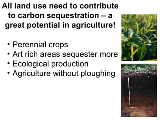 All land use need to contribute
  to carbon sequestration – a
 great potential in agriculture!

 •   Perennial crops
 •   Art rich areas sequester more
 •   Ecological production
 •   Agriculture without ploughing
 