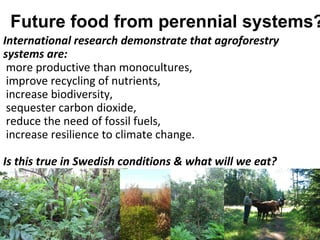 Future food from perennial systems?
International research demonstrate that agroforestry
systems are:
 more productive than monocultures,
 improve recycling of nutrients,
 increase biodiversity,
 sequester carbon dioxide,
 reduce the need of fossil fuels,
 increase resilience to climate change.

Is this true in Swedish conditions & what will we eat?
 