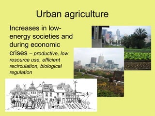 Urban agriculture
Increases in low-
energy societies and
during economic
crises – productive, low
resource use, efficient
recirculation, biological
regulation
 