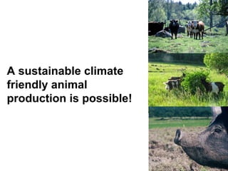 A sustainable climate
friendly animal
production is possible!


                      Arla
                      Foods
 