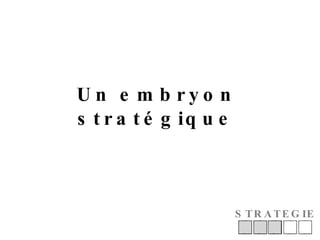 Un embryon stratégique STRATEGIE 