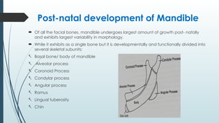 Post-natal growth & development of cranium, jaws | PPTX