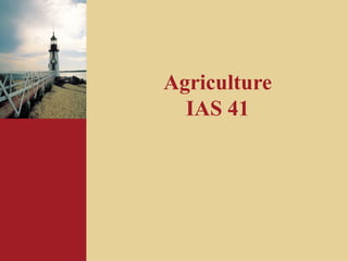 Agriculture 
IAS 41 
 