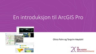 En introduksjon til ArcGIS Pro
Olivia Palm og Torgrim Høydahl
 
