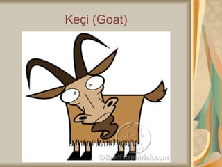 Keçi (Goat) 