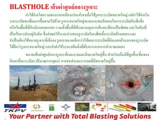 BLASTHOLE เส้นผ่าศูนย์กลางรูเจาะ 
ค่าใช้จ่ายโดยรวมของงานเหมืองแร่จะต่า ลงเมื่อใช้รูเจาะระเบิดขนาดใหญ่ แต่ค่าใช้จ่ายใน 
งานระเบิดจะเพิ่มมากขึ้นตามไปด้วย รูเจาะขนาดใหญ่จะเหมาะสมน้อยลงในการระเบิดหินที่แข็ง 
หรือในพื้นที่ที่หินมีรอยแตกแยก รวมทั้งพื้นที่ที่ต้องควบคุมการสั่นสะเทือนเป็นพิเศษ และในหินที่ 
เป็นก้อนๆปนอยู่กับดิน ซึ่งส่งผลให้ระยะห่างของรูระเบิดในแพ๊ทเทิ้นระเบิดต้องลดลง และ 
จา เป็นต้องใช้ขนาดรูเจาะที่เล็กลง รูเจาะขนาดเล็กกว่าให้ผลการระเบิดที่หินแตกด้านบนของรูระเบิด 
ได้ดีกว่ารูเจาะขนาดใหญ่ และยังทา ให้ระยะสตีมมิ่งที่ต้องการจากการคา นวณลดลง 
ขนาดเส้นผ่าศูนย์กลางรูเจาะที่เหมาะสมจะมีขนาดใหญ่ขึ้น สา หรับเบ้นส์ที่สูงขึ้น(ชั้นของ 
หินผาที่จะระเบิด) ปริมาณการขุดแร่ การขนส่งและการบดที่มีขนาดใหญ่ขึ้น 
D 
 