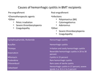 Pre-engraftment Post-engraftment
•Chemotherapeutic agents
•Other
• Pelvic irradiation
• Severe thrombocytopenia
• Coagulopathy
•Infections
• Polyomavirus (BK)
• Cytomegalovirus
• Adenovirus
•Other
• Severe thrombocytopenia
• Coagulopathy
Causes of hemorrhagic cystitis in BMT recipients
Cyclophosphamide, Ifosfamide Hemorrhagic cystitis
Busulfan Hemorrhagic cystitis
Thiotepa Irritation and rarely hemorrhagic cystitis
Doxorubicin
Reversible hemorrhagic cystitis in 20 to 30
percent
Mitomycin Cystitis in 15 percent
Fludarabine Rare hemorrhagic cystitis
Chlorambucil Rare cases of sterile cystitis
Cabazitaxel
Hemorrhagic cystitis in 17 percent; severe
(grade 3 or 4) in 2 to 3 percent
 