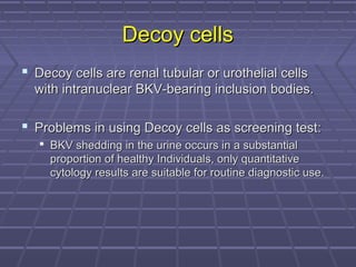 Decoy cellsDecoy cells
 Decoy cells are renal tubular or urothelial cellsDecoy cells are renal tubular or urothelial cells
with intranuclear BKV-bearing inclusion bodies.with intranuclear BKV-bearing inclusion bodies.
 Problems in using Decoy cells as screening test:Problems in using Decoy cells as screening test:
 BKV shedding in the urine occurs in a substantialBKV shedding in the urine occurs in a substantial
proportion of healthy Individuals, only quantitativeproportion of healthy Individuals, only quantitative
cytology results are suitable for routine diagnostic use.cytology results are suitable for routine diagnostic use.
 