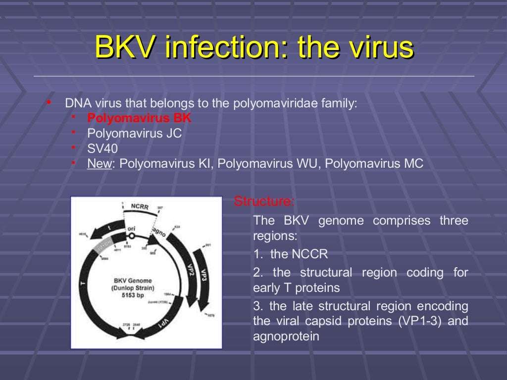 BK Virus Nephropathy