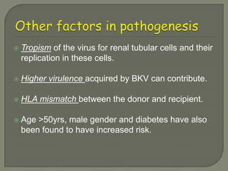    Tropism of the virus for renal tubular cells and their
    replication in these cells.

   Higher virulence acquired by BKV can contribute.

   HLA mismatch between the donor and recipient.

   Age >50yrs, male gender and diabetes have also
    been found to have increased risk.
 