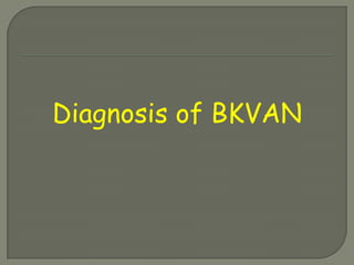 Diagnosis of BKVAN
 