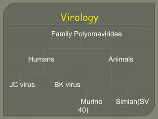 Family Polyomaviridae


     Humans                  Animals


JC virus   BK virus

                    Murine     Simian(SV
                   40)
 