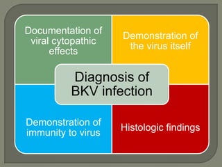 Documentation of
                    Demonstration of
 viral cytopathic
                     the virus itself
      effects

          Diagnosis of
          BKV infection

Demonstration of
                    Histologic findings
immunity to virus
 