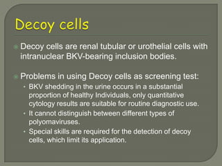    Decoy cells are renal tubular or urothelial cells with
    intranuclear BKV-bearing inclusion bodies.

   Problems in using Decoy cells as screening test:
    • BKV shedding in the urine occurs in a substantial
      proportion of healthy Individuals, only quantitative
      cytology results are suitable for routine diagnostic use.
    • It cannot distinguish between different types of
      polyomaviruses.
    • Special skills are required for the detection of decoy
      cells, which limit its application.
 