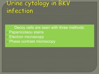 Decoy cells are seen with three methods:
 Papanicolaou stains
 Electron microscopy
 Phase contrast microscopy
 
