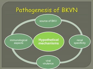 source of BKV




immunological   Hypothetical      renal
  aspects       mechanisms      specificity




                     viral
                  virulence
 