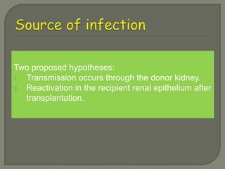 Two proposed hypotheses:
1. Transmission occurs through the donor kidney.
2. Reactivation in the recipient renal epithelium after
   transplantation.
 