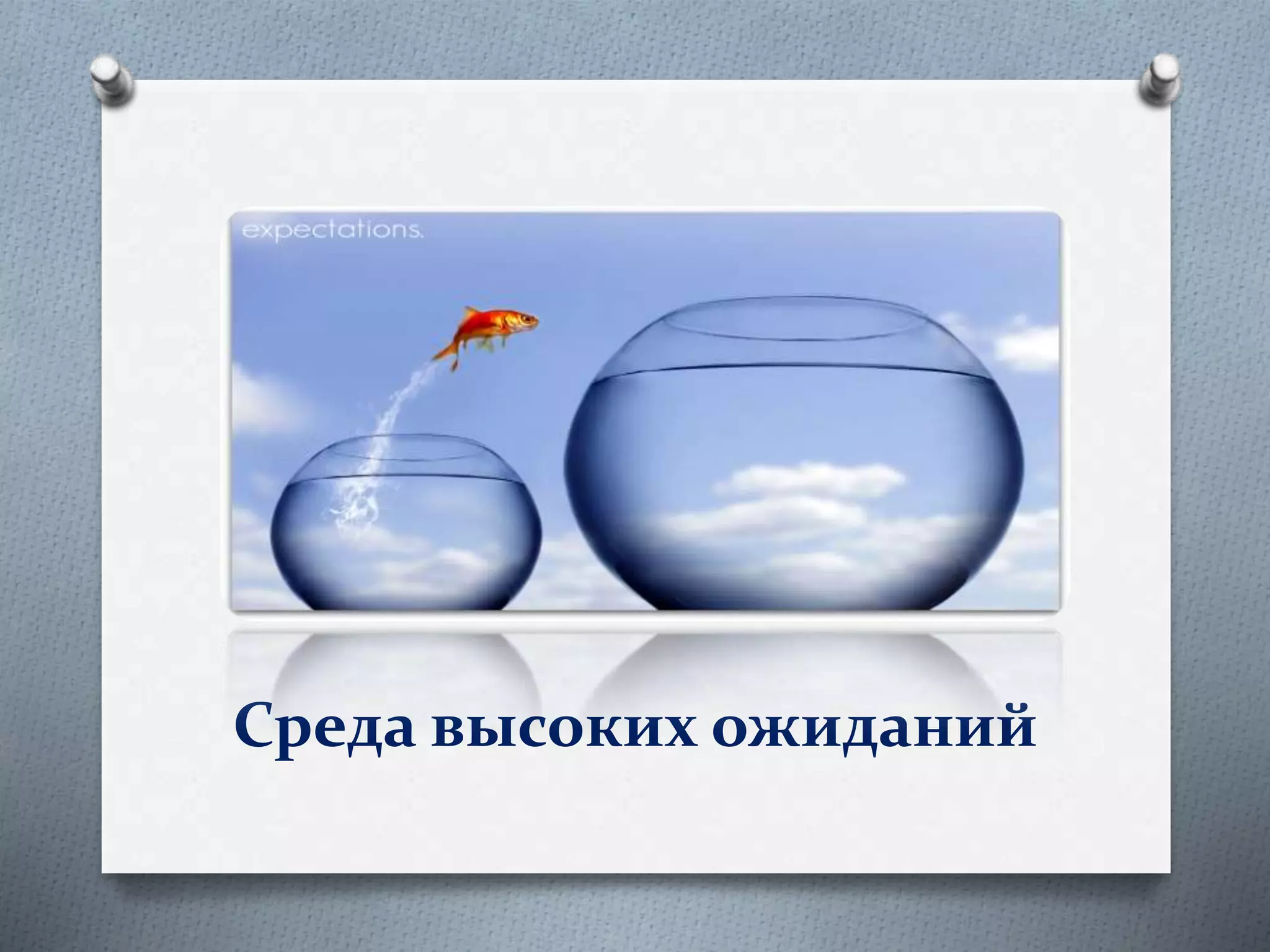 Среда высоких ожиданий
 