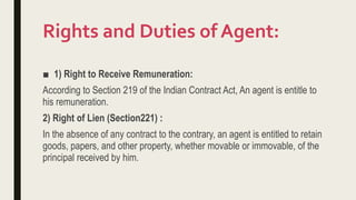 duties and rights of an agent