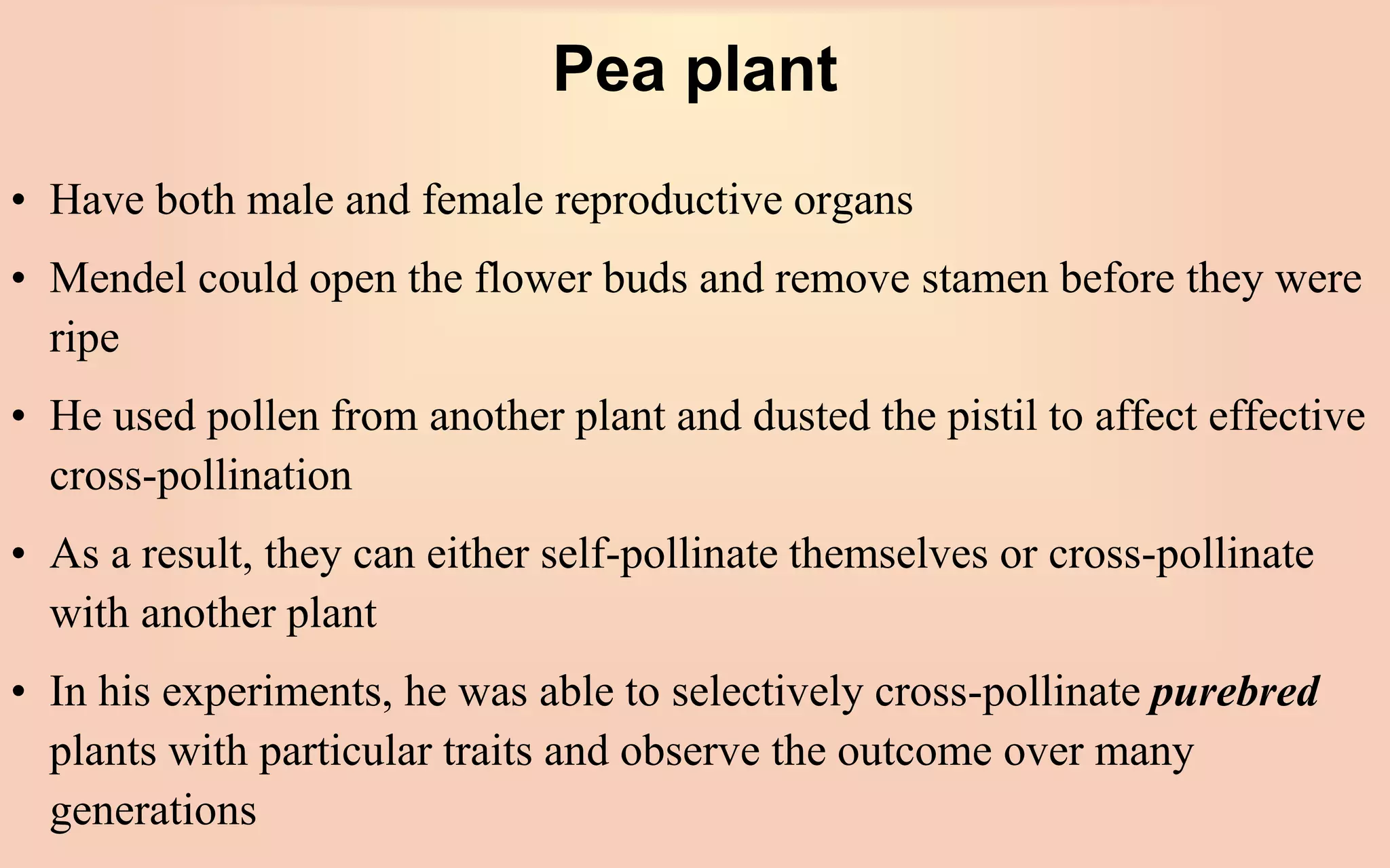 Pea plant
• Have both male and female reproductive organs
• Mendel could open the flower buds and remove stamen before they were
ripe
• He used pollen from another plant and dusted the pistil to affect effective
cross-pollination
• As a result, they can either self-pollinate themselves or cross-pollinate
with another plant
• In his experiments, he was able to selectively cross-pollinate purebred
plants with particular traits and observe the outcome over many
generations
 