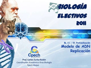 LOGO
Biología
Electivos
2011
BL 11 - 01 Profundización
Modelo de ADN
Replicación
Prof. Carlos Zurita Redón
Coordinador Académico Área Biología
Cpech Maipú
 