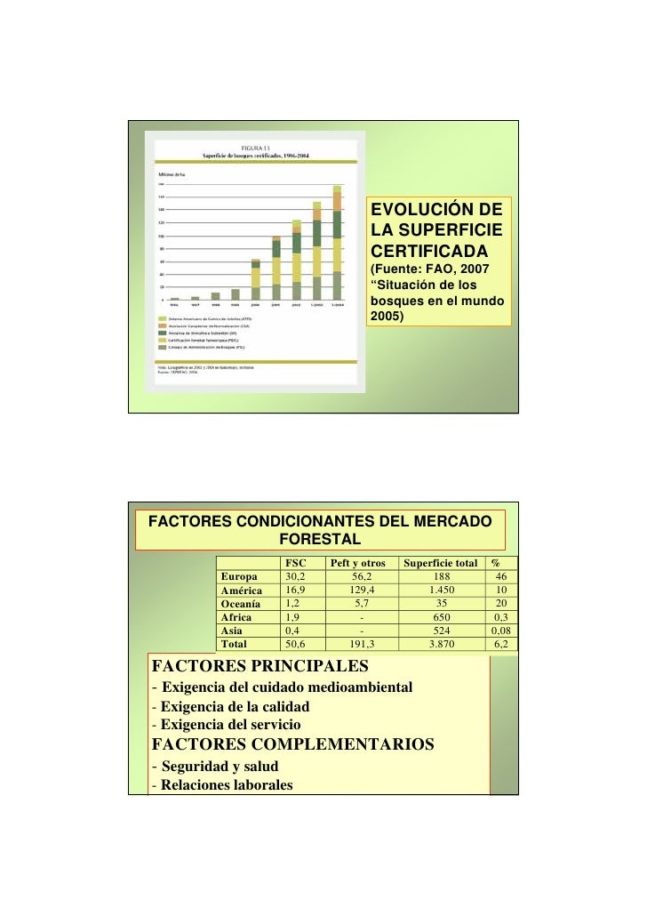 Mercado En El Mundo - 