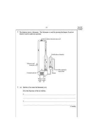 Mrs Abrey BL3 Test 4 How human effect env