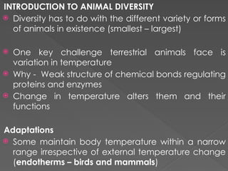 Comprehensive Overview of Animal Diversity and Evolutionary Adaptations ...