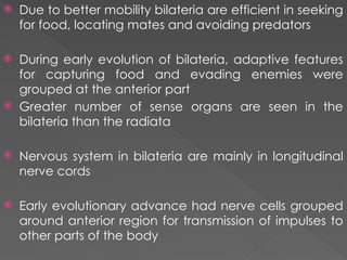 Comprehensive Overview of Animal Diversity and Evolutionary Adaptations ...