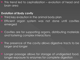 Comprehensive Overview of Animal Diversity and Evolutionary Adaptations ...