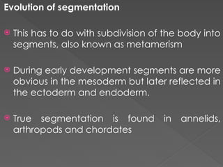Comprehensive Overview of Animal Diversity and Evolutionary Adaptations ...