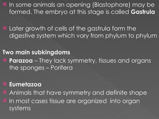 Comprehensive Overview of Animal Diversity and Evolutionary Adaptations ...