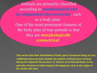 Comprehensive Overview of Animal Diversity and Evolutionary Adaptations ...